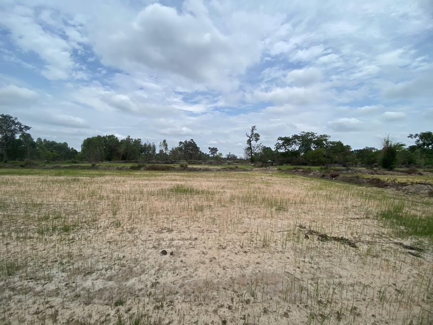 ขายด่วนที่ดินขายต่ำกว่าราคาประเมิน 3