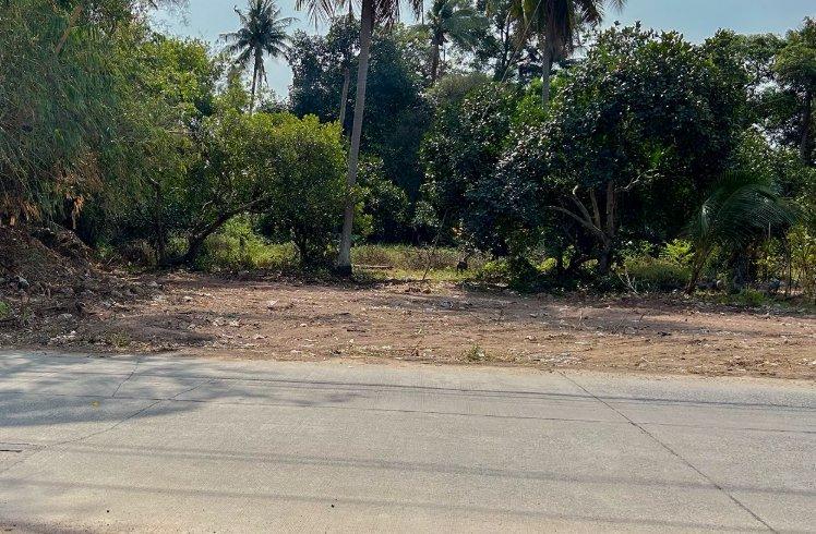 ขายที่ดินสุรศักดิ์ 200 ตรว. ถมแล้วซ.เนินสวัสดิ์ติดถนนลาดยาง ใกล้ท่าเรือแหลมฉบัง-8กม. อ.ศรีราชา ชลบุรี 3