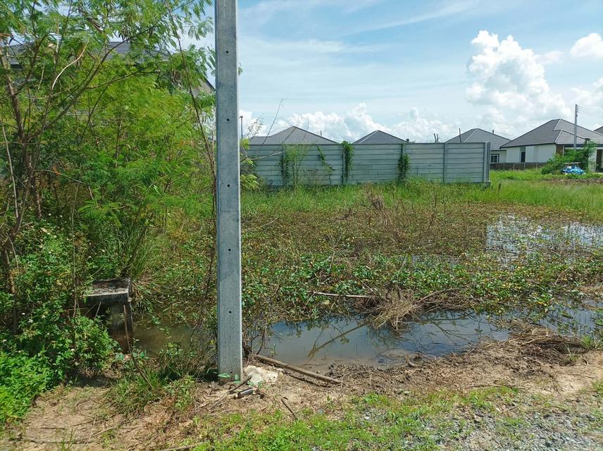 ขายที่ดิน 60 ตร.ว. ต.ตลาดขวัญ อ.ดอยสะเก็ด จ.เชียงใหม่ 4