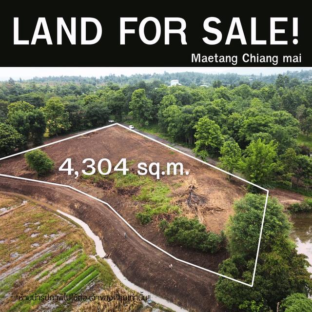 ขายที่ดินแม่แตง เชียงใหม่ 2ไร่กว่า โฉนด วิวเขา ติดคลอง บรรยากาศสุดสงบ เพียง 2.96 ล้านเท่านั้น! 2