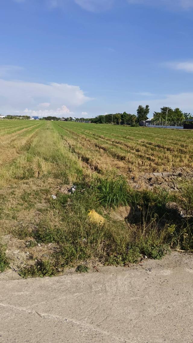 ขายที่ดินเปล่าติดถนนลำลูกกากาคลอง 9 จังหวัดปทุมธานี 5