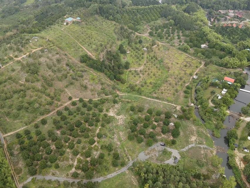 ที่ดินสวนทุเรียน ติดน้ำตกทุ่งเพล  อ.มะขาม จ.จันทบุรี  10 ไร่  ขายราคา 16​ ล้านบาท  สนใจติดต่อ 085-1210072 4