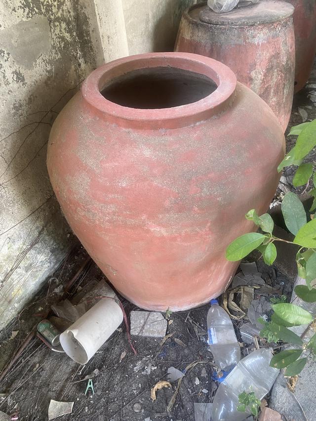 โอ่งมังกรเก่าหลาบใบราคากันเอง รูปที่ 4