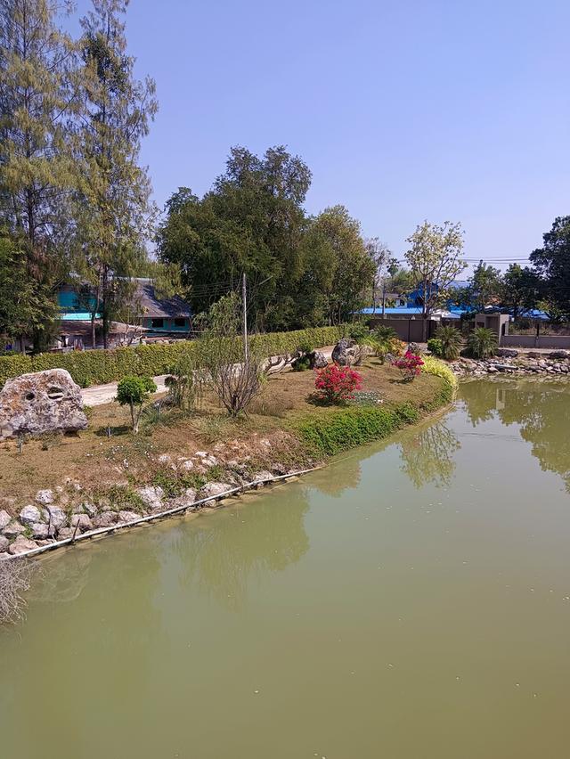 ขายที่ดินเนื้อที่ 9-1-52.4 ไร่ พร้อมสิ่งปลูกสร้าง ต.ทุ่งหลวง อ.ปากท่อ จ.ราชบุรี 9