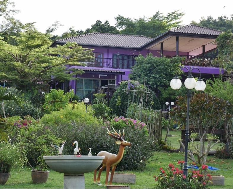 บ้านเหวปลากั้งพร้อมอยู่ ถนนผ่านผ่านศึก กุดคล้า 2-3-86ไร่ วิวเขาใหญ่ อากาศดีสุด เดินทางสะดวก 5