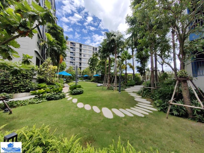 D Condo Reef for rent 3rd floor  4