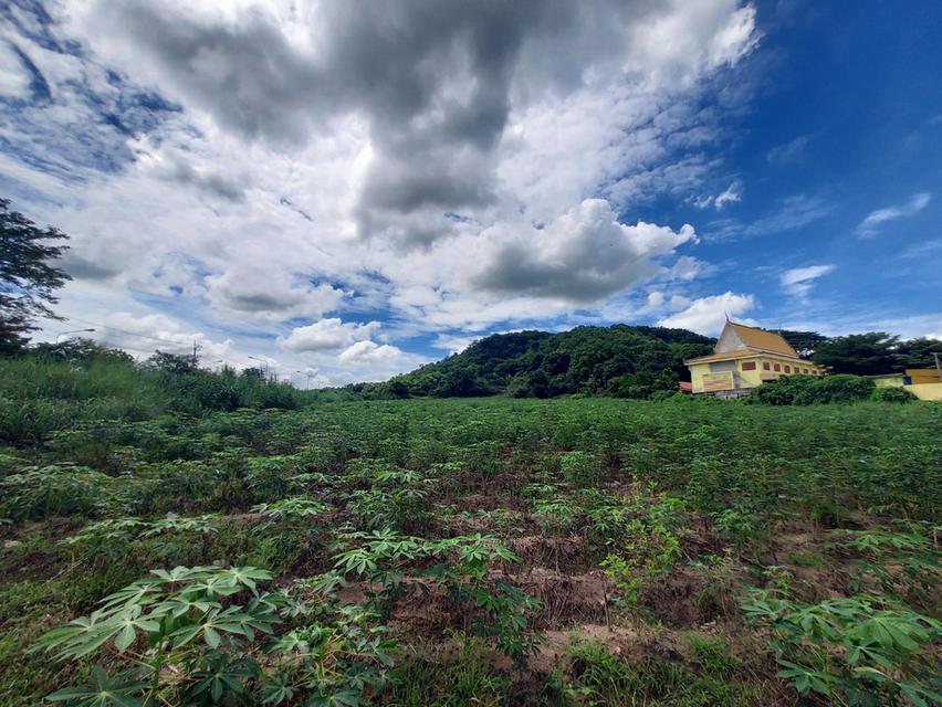 ขายที่ดินทำเลดีติดถนน ต.เขาคันทรง อ.ศรีราชา จ.ชลบุรี เนื้อที่ 8ไร่ 73ตารางวา 4