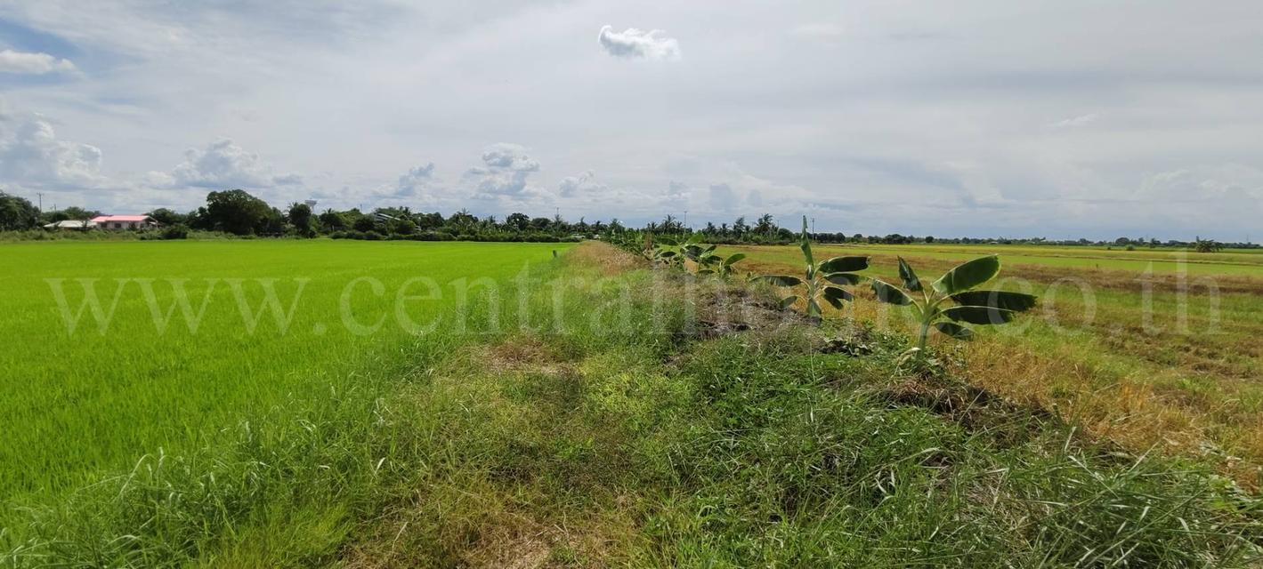 ที่ดินเปล่า 4 ไร่ 28.3 ตร.วา บางเลน นครปฐม ราคาถูก 3