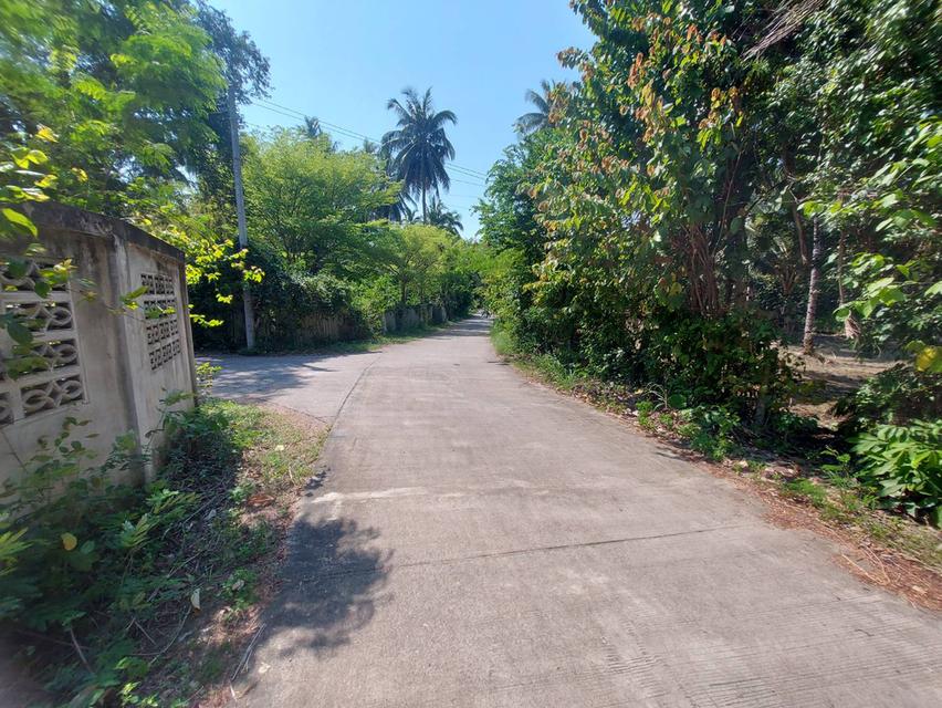 ที่ดินผืนใหญ่ใกล้ทะเล สำหรับคนที่ต้องการความเป็นส่วนตัว 13