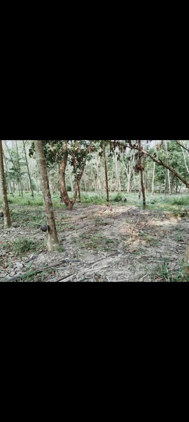 บ้าน1ห้องนอน 2ห้องน้ำและที่ดิน 6