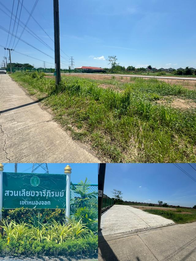 ขายที่ดินทำเลทอง ย่านธุรกิจ ราคาถูก