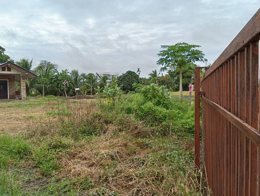 บ้านเดี่ยววิวสวยทำเรดี ขนาด 150 ตรว 19