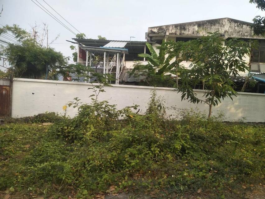 ที่ดิน อสังหาริมทรัพย์ 8