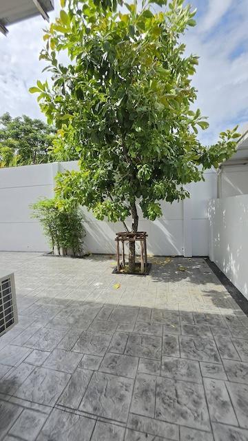 MHR198 ปล่อยเช่าบ้านเดี่ยวแปลงใหญ่ 81 ตร.ว. โครงการ Villaggio 3 บางนา จอดรถได้ถึง 4 คัน มีห้องอเนกประสงค์เพิ่ม 8