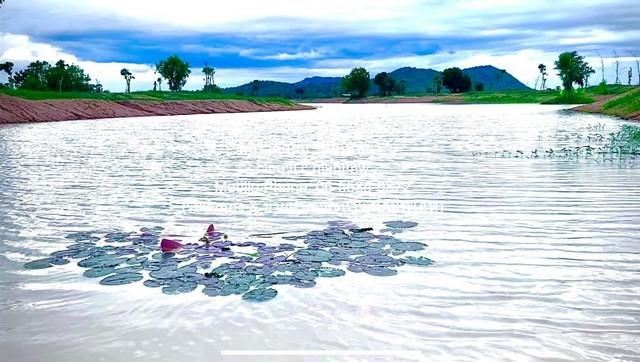 พื้นที่ดิน ขายที่ดินจัดสรรแปลงใหญ่ พร้อมทะเลสาบ (ติดถนนหลัก และติดถนนรอง) อู่ทอง จ.สุพรรณบุรี 60-3-0 ไร่ ราคา 23 ล้าน 24 8