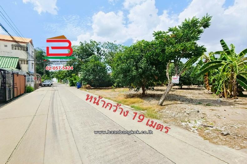 ขาย/เช่า ที่ดินเปล่า เลี่ยงเมืองปากเกร็ด 41 เนื้อที่ 149 ตร.ว (ใกล้โรงเรียนชลประทานวิทยา) ตำบลบางตลาด อำเภอปากเกร็ด จังหวัดนนทบุรี 2