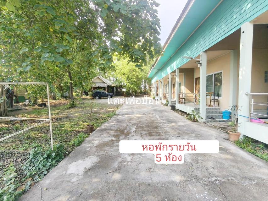 ที่ดินพร้อมสิ่งปลูกสร้างพอพัก ค้านอาหารบ้านพัก อ.เมืองจ.พะเยา 15