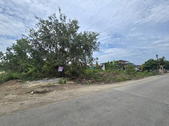 2394 ขาย ที่ดิน ที่ดิน บางบ่อ ชั้นทั้งหมด 1 ชั้น ใกล้กับ นิคมอุตสาหกรรมเวลโกรว์ ชั้นที่ 1 18000000 บาท 4