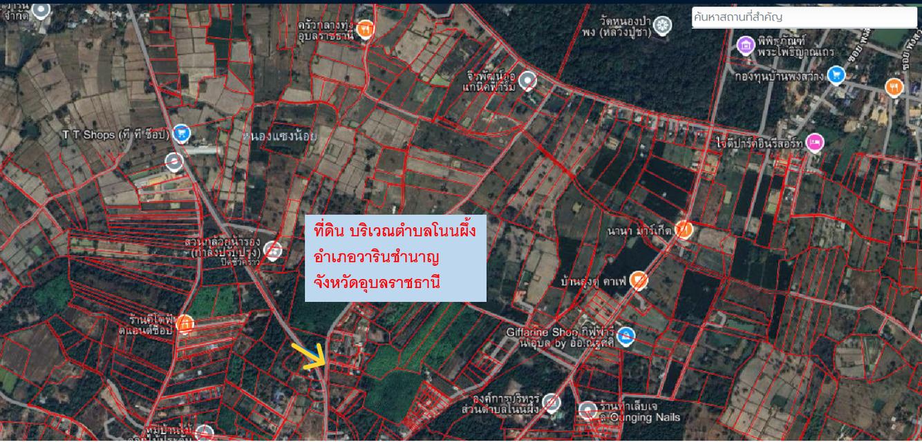 ขายที่ดิน 1