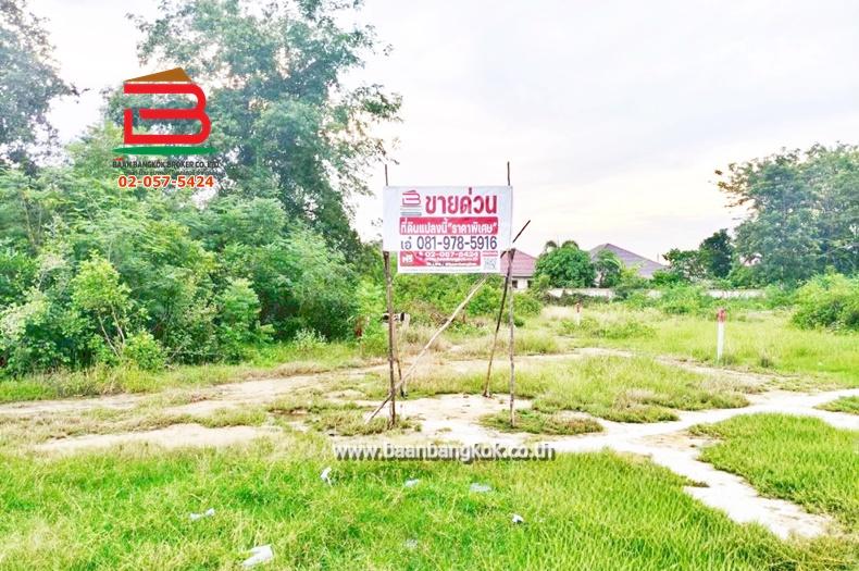 ที่ดินเปล่า ถมแล้ว ซอยวังก์พง 21/18-4 เนื้อที่ 50 ตรว. (ติดรีสอร์ทริมบึง) ถนนเพชรเกษม ตำบลวังก์พง อำเภอปราณบุรี ประจวบคีรีขันธ์ 2