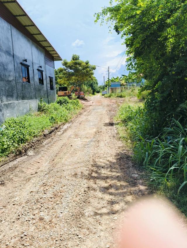 ที่ดินถมแล้ว 59.3ตารางวา ต.อรัญญิก อ.เมืองพิษณุโลก 2