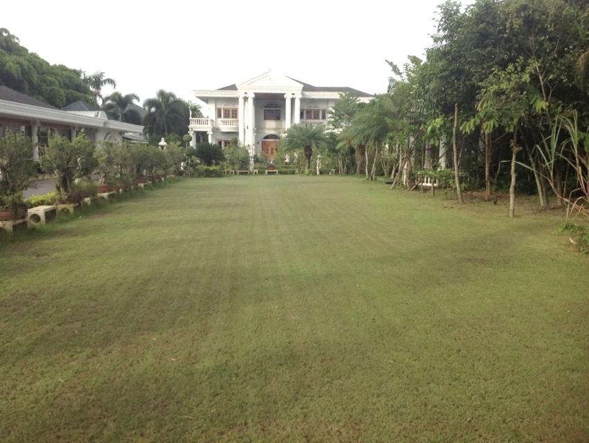 ขายบ้านหรูหลังใหญ่ ตกแต่งภายในอย่างดี บนเนื้อที่ 2-1-58ไร่ บ้านหัวกุญแจ บ้านบึง ชลบุรี โรงรถ สนามหญ้า ต้นไม้สวย พร้อมเข้าอยู่ (ปรับเปลี่ยนตามต้องการ) 5