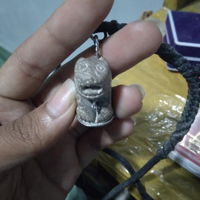 แบ่งเช่าเสือแกะเนื้อไม้ 2