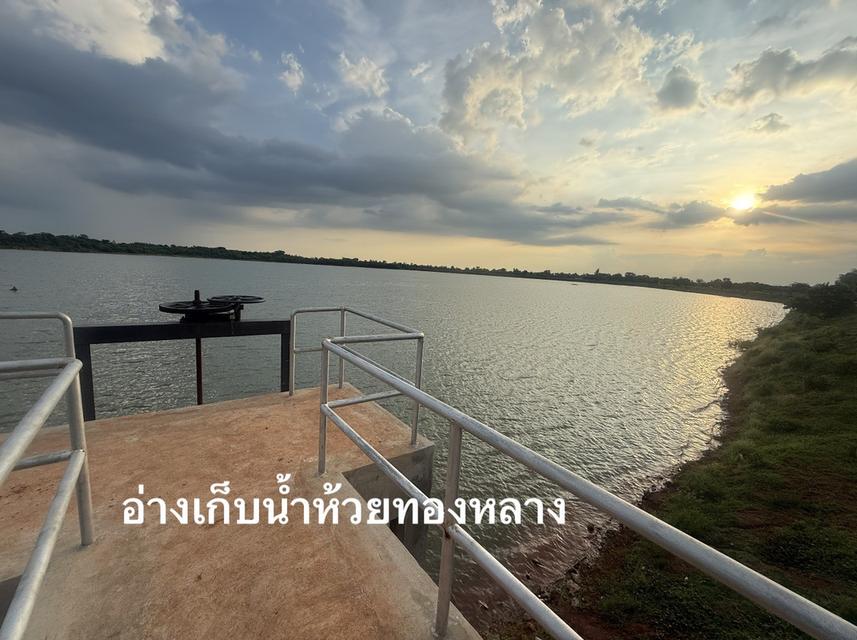 ## 🌿 ประกาศขายที่ดินติดอ่างเก็บน้ำห้วยทองหลาง  ตำบลบ้านกอก อำเภอจัตุรัส จังหวัดชัยภูมิ 5