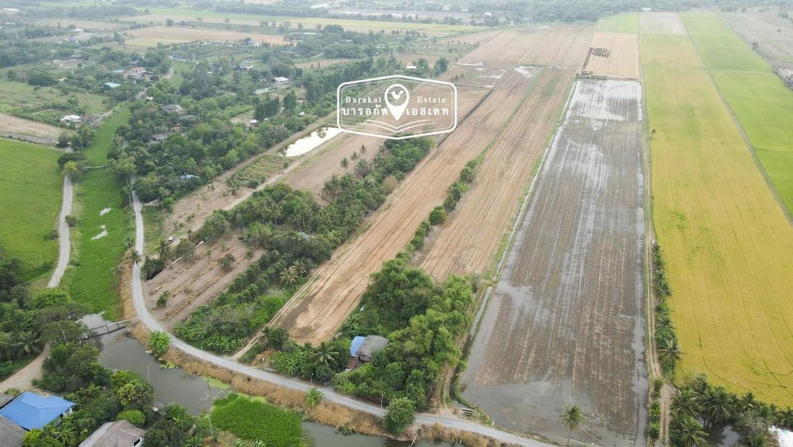 ขายที่ดินแปลงใหญ่รวม 30 ไร่ ตำบลคลอง 12 ฝั่งตะวันตก หนองจอก มีนบุรี กทม. ที่ดินหน้ากว้าง 75   เมตร  ลึก 823 เมตร ตารางวาละ 2,600 บาท  ขายรวม 30 ไร่ 7
