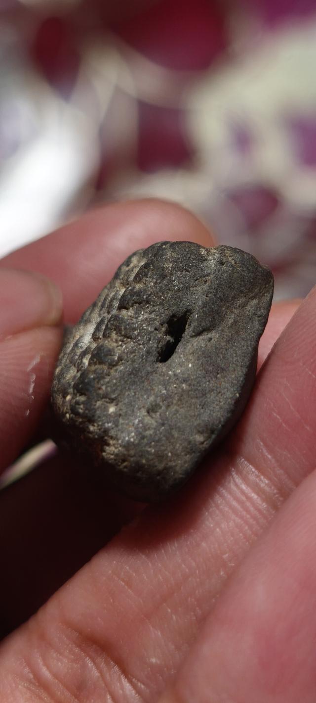 หลสงพ่อทวดเนื้อว่าน ปี 2497 7