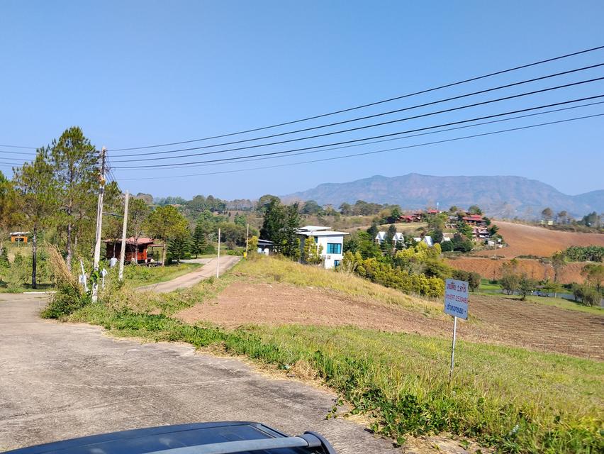 ที่ดินเขาค้อ วิวภูเขา ถนน น้ำ ไฟ พร้อม 7