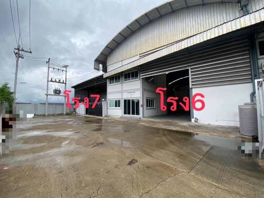 ขายหรือให้เช่า โกดัง โรงงาน โครงการทรัพย์รุ่งเรือง คลองมะเดื่อ ขนาด 480 ตร.ม. ถึง 1,500 ตร.ม. ทำเลดี กระทุ่มแบน สมุทรสาคร  8