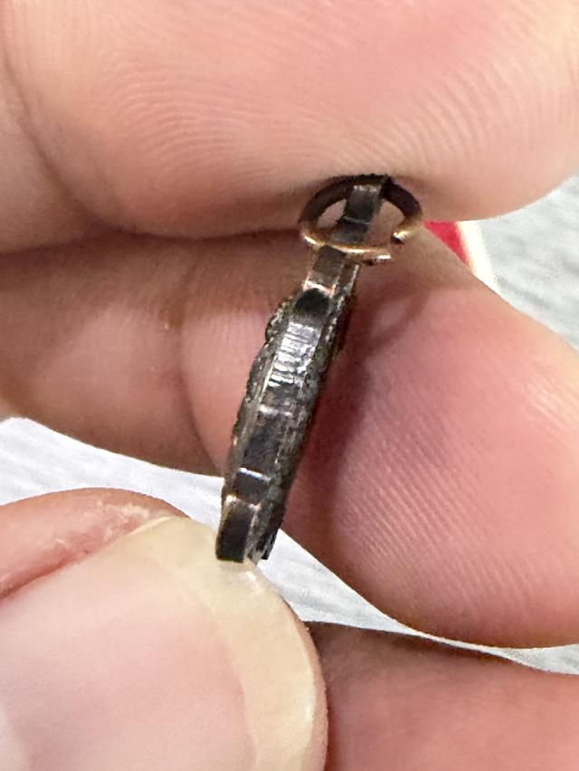 เหรียญเต่าหลวงปู่หลิว วัดไร่แตงทอง รุ่นทองฟู ปี2558 2