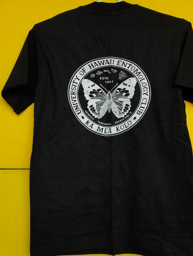 เสื้อยืดแขนสั้น University of Hawaii ของใหม่จากสหรัฐ