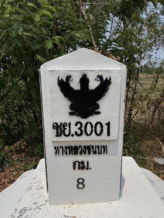 ที่ดินแบ่งขาย 2 ไร่ ตำบลนาเสียว อำเภอเมืองชัยภูมิ จังหวัดชัยภูมิ 3