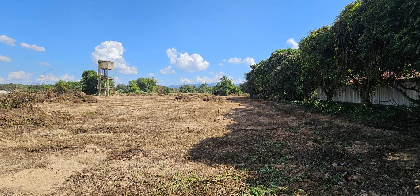 ที่ดินพร้อมอาคารพานิชย์ 6