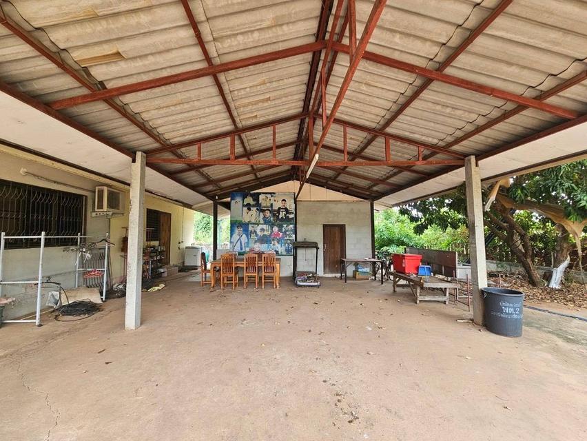 ขายบ้านพร้อมที่ดิน ติดการไฟฟ้าส่วนภูมิภาคจังหวัดชัยภูมิ 13