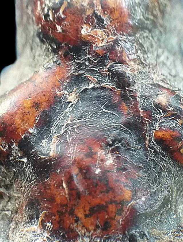 พระปิดตาหลวงปู่เอี่ยม วัดสะพานสูง. รูปที่ 7