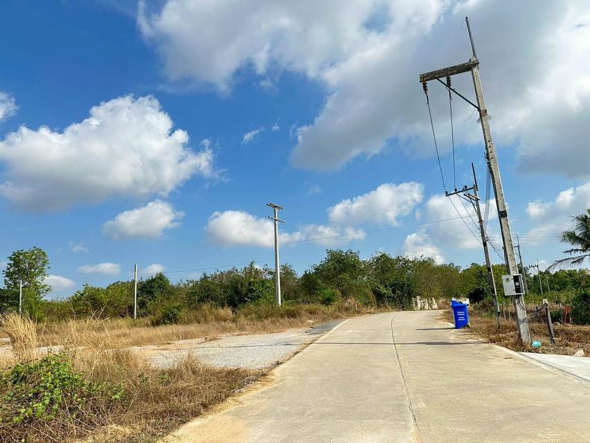 ขายที่ดิน 30 ไร่ ผังสีเหลือง ต.ห้วยใหญ่ อ.บางละมุง จ.ชลบุรี 5