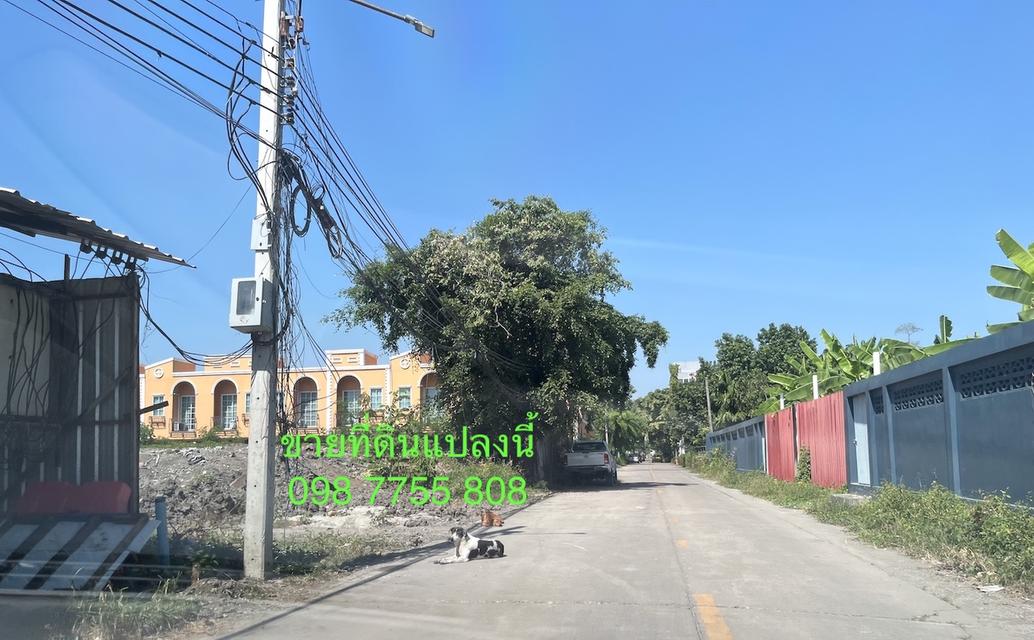 ขายที่ดิน 326 วา ใกล้ ม.รามคำแหง หัวหมาก 098 7755 808 13