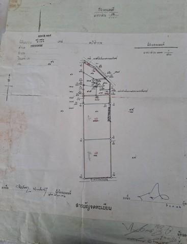 ขายที่ดิน 4 ไร่ หนองบอนแดงบ้านบึง ผังสีเหลือง บนเนื้อที่ 4 ไร่ 15 ตรว แบ่งขายได้ 3