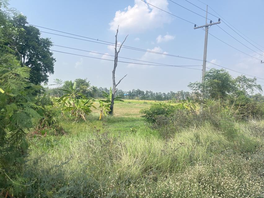 ขายที่ดินติดถนนดำ อ..เสาไห้ 7