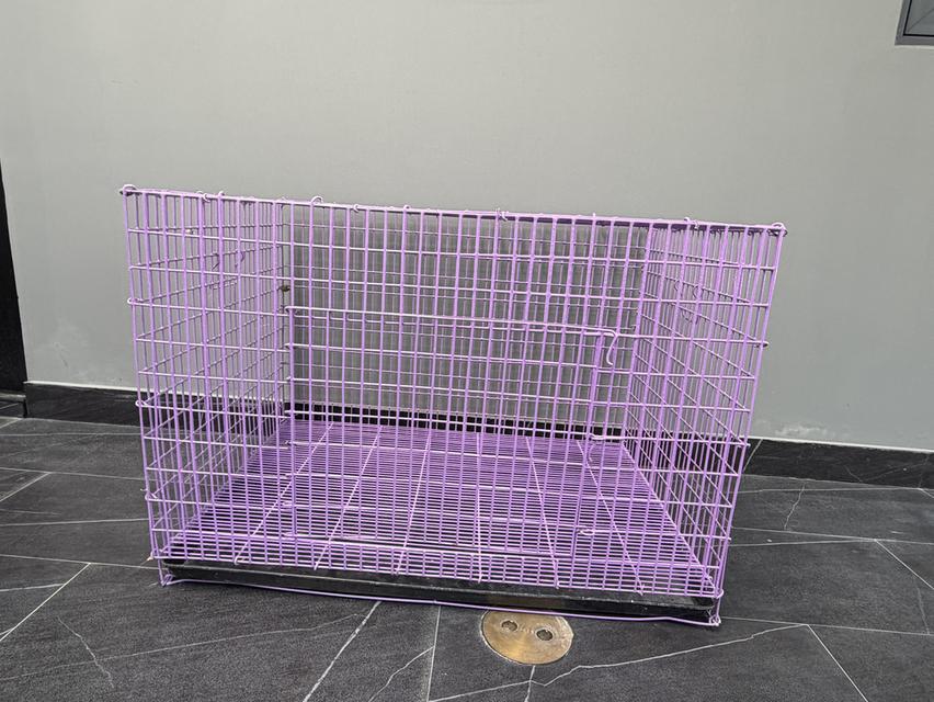 ขายกรงแมวมือสอง สภาพดี