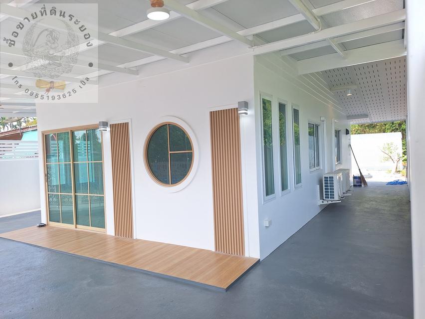 สวนทุเรียนแปลงเล็กระยอง 3