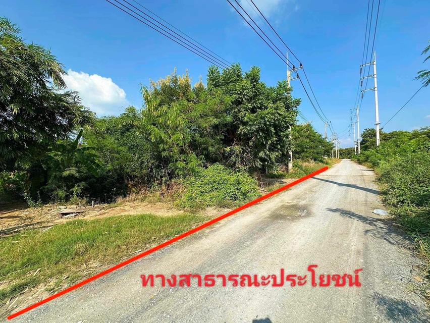 **ขาย** ที่ดิน10ไร่ ใกล้มหาวิทยาลัยเกษตรกำแพงแสน 13