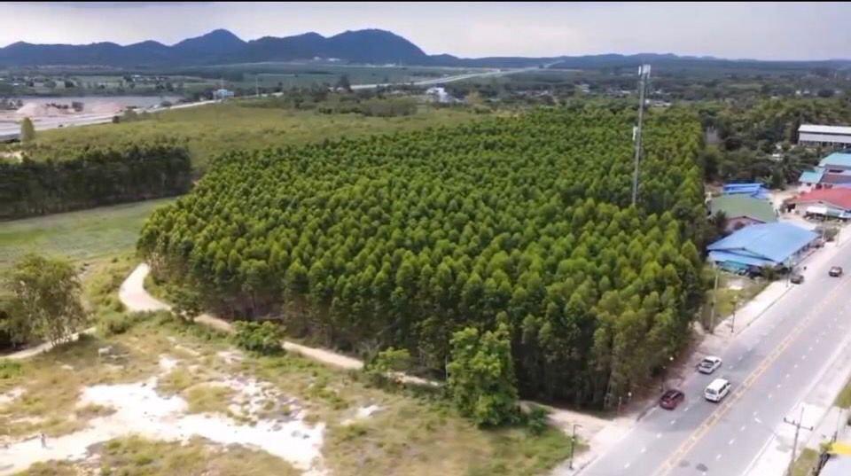 ขายที่ดินแปลงใหญ่ จังหวัดระยอง Large Land For Sale 2