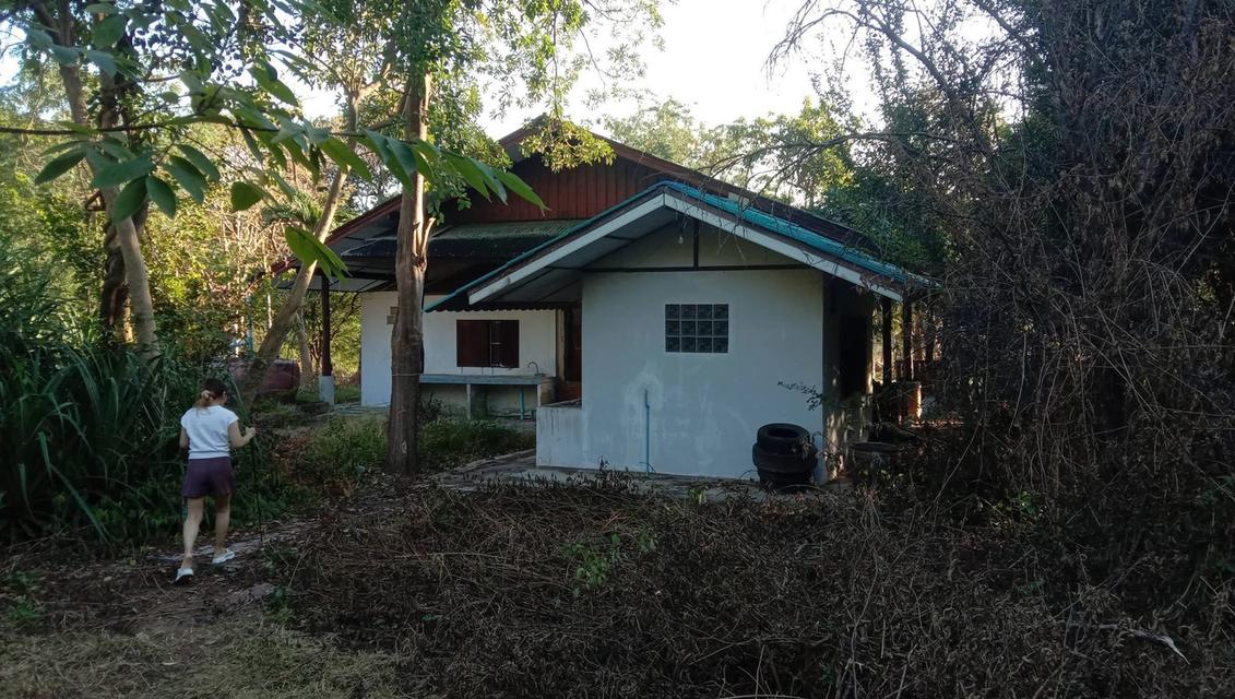 ขายบ้านพร้อมที่ดิน หลังติดเขา ต.เขาขลุง อ.บ้านโป่ง จ.ราชบุรี 2