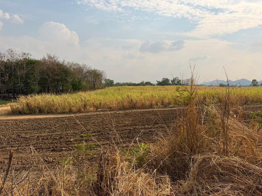 ขายที่ดินติดลำธารที่เพชรบูรณ์ 9