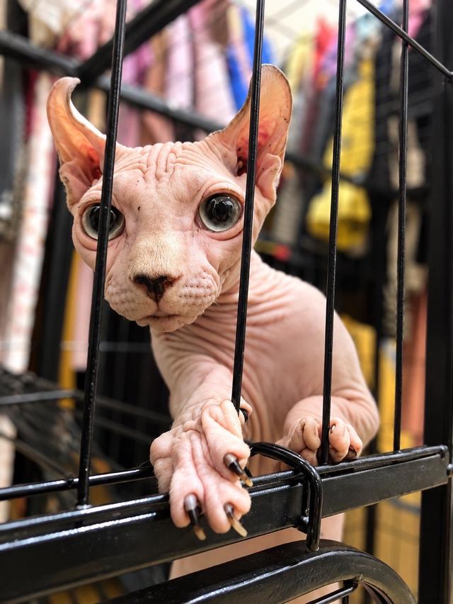 ส่งถึงบ้าน กทม.และปริมณฑล 🐾 รูปที่ 8