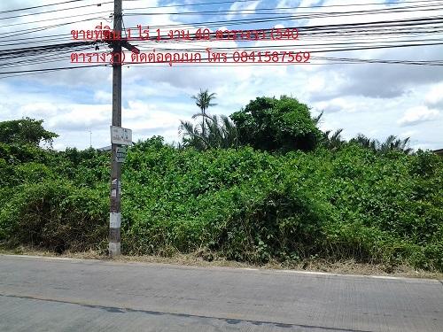 ขายที่ดิน 507 ตร.วา ตรงข้ามช้างสามเศียร อ.เมือง จ.สมุทรปราการ 2